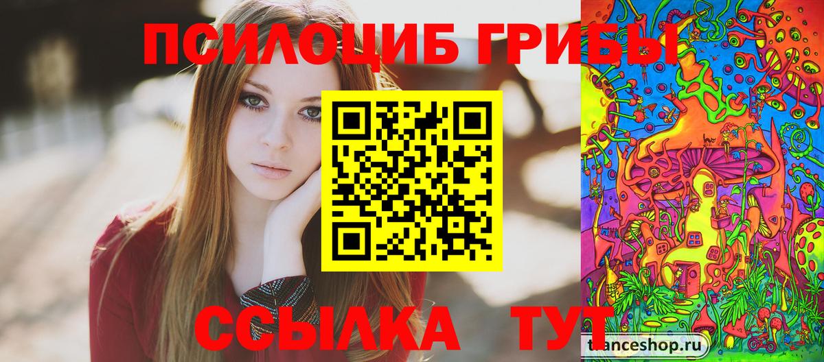 Псилоцибиновые грибы Psilocybe  Галлюциногенные грибы мицелий  Алексеевка  Вход с VPN 